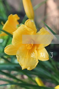 逾期了电话打到村委会 逾期了电话打到村委会
