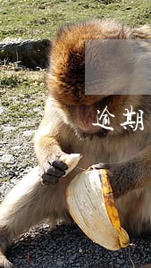 逾期了的信用卡还能养卡吗 逾期了的信用卡还能养卡吗
