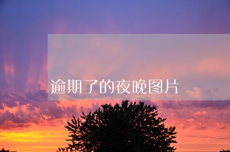 逾期了的夜晚图片 逾期了的夜晚图片
