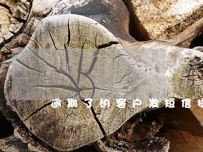 逾期了的客户发短信提醒她 逾期了的客户发短信提醒她