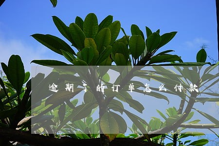 逾期了的订单怎么付款 逾期了的订单怎么付款