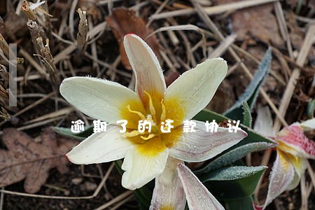 逾期了的还款协议 逾期了的还款协议