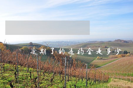 逾期了的违约金是多少 逾期了的违约金是多少