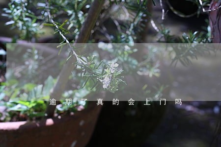 逾期了真的会上门吗 逾期了真的会上门吗