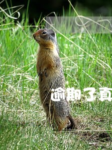 逾期了真的挺烦的 逾期了真的挺烦的