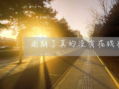 逾期了真的没有花钱花怎么办 逾期了真的没有花钱花怎么办