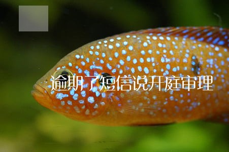 逾期了短信说开庭审理 逾期了短信说开庭审理