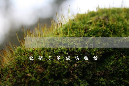 逾期了等催收电话 逾期了等催收电话