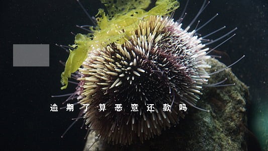 逾期了算恶意还款吗 逾期了算恶意还款吗