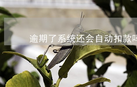 逾期了系统还会自动扣款吗 逾期了系统还会自动扣款吗