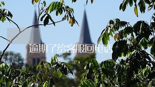 逾期了给客服回电话 逾期了给客服回电话