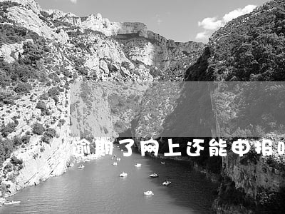 逾期了网上还能申报吗 逾期了网上还能申报吗