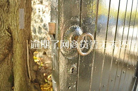 逾期了网商贷暂无未还借款 逾期了网商贷暂无未还借款