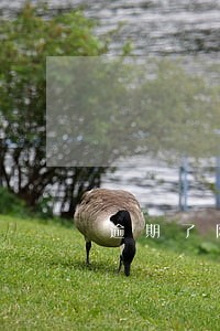逾期了网络仲裁 逾期了网络仲裁