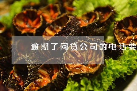 逾期了网贷公司的电话要接吗 逾期了网贷公司的电话要接吗