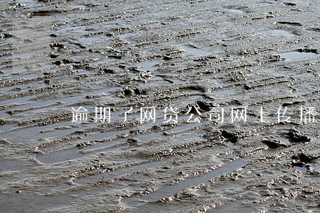 逾期了网贷公司网上传播消息 逾期了网贷公司网上传播消息