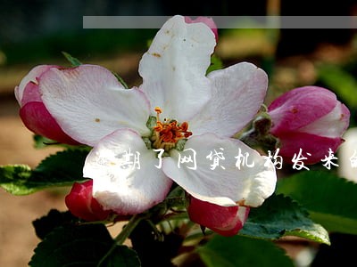 逾期了网贷机构发来的短信 逾期了网贷机构发来的短信