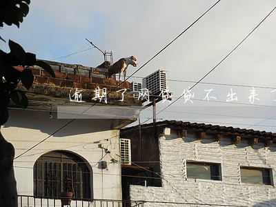 逾期了网贷贷不出来了 逾期了网贷贷不出来了