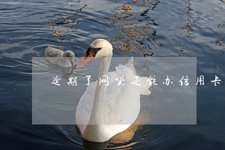 逾期了网贷还能办信用卡吗