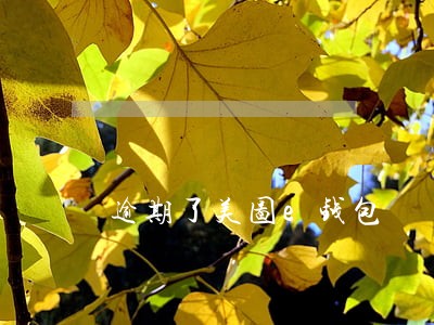 逾期了美图e钱包 逾期了美图e钱包
