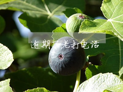 逾期了老打电话 逾期了老打电话