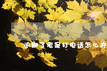 逾期了老是打电话怎么办 逾期了老是打电话怎么办