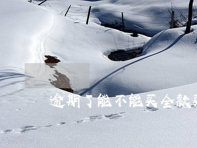 逾期了能不能买全款买车 逾期了能不能买全款买车