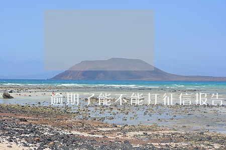 逾期了能不能打征信报告 逾期了能不能打征信报告