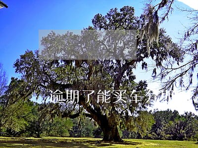 逾期了能买车分期吗 逾期了能买车分期吗