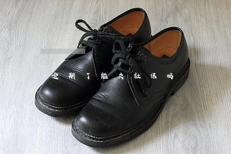 逾期了能交社保吗 逾期了能交社保吗