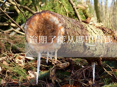 逾期了能从哪里借钱