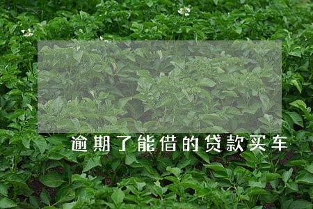 逾期了能借的贷款买车 逾期了能借的贷款买车