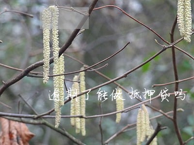 逾期了能做抵押贷吗 逾期了能做抵押贷吗