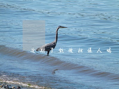 逾期了能做担保人吗 逾期了能做担保人吗