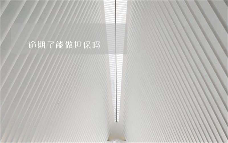 逾期了能做担保吗 逾期了能做担保吗