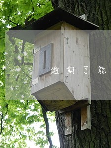 逾期了能办理农村信用社吗