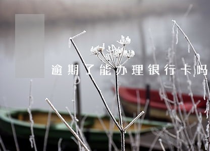 逾期了能办理银行卡吗 逾期了能办理银行卡吗