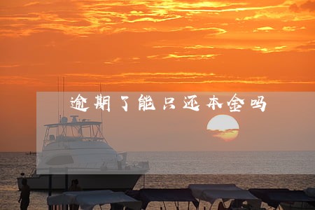 逾期了能只还本金吗