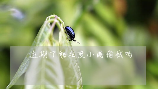 逾期了能在度小满借钱吗 逾期了能在度小满借钱吗