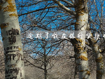 逾期了能在银行贷款吗 逾期了能在银行贷款吗