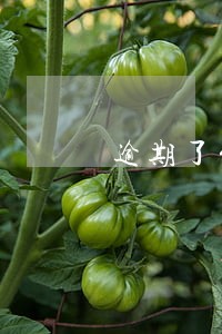 逾期了能查到哪些信息 逾期了能查到哪些信息