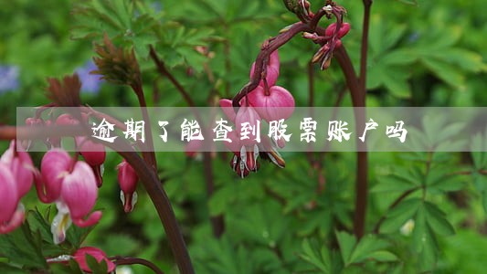 逾期了能查到股票账户吗 逾期了能查到股票账户吗