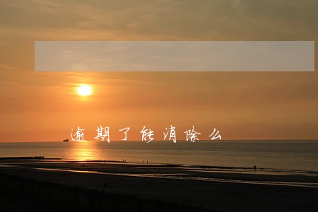逾期了能消除么 逾期了能消除么