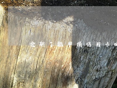逾期了能申请信用卡吗 逾期了能申请信用卡吗