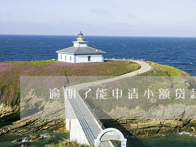逾期了能申请小额贷款吗 逾期了能申请小额贷款吗