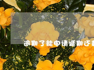 逾期了能申请延期还款 逾期了能申请延期还款