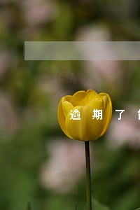 逾期了能申请房贷嘛 逾期了能申请房贷嘛