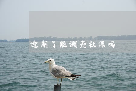 逾期了能调查社保吗 逾期了能调查社保吗
