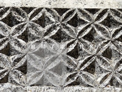 逾期了能贷什么后果 逾期了能贷什么后果