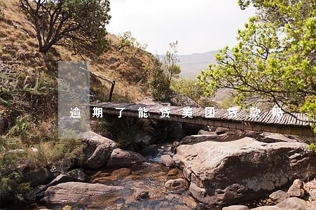 逾期了能贷美团贷款吗 逾期了能贷美团贷款吗